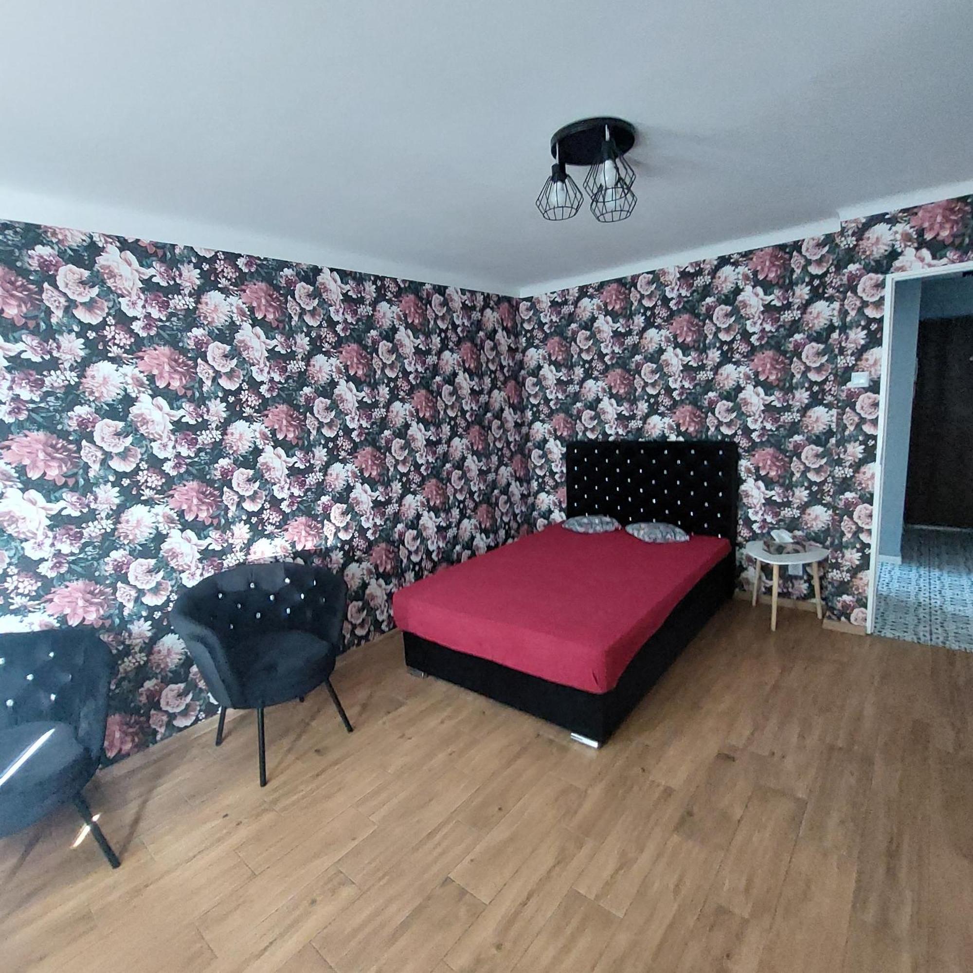 Apartment Okrzei Włocławek